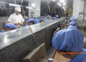 專業(yè)玩具加工與塑膠配件生產(chǎn) 技術、價格與咨詢服務全解析